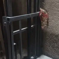 بالابر هیدرولیکی|مصالح و تجهیزات ساختمان|ایذه, |دیوار