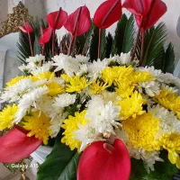 گل طبیعی مجلسی نصف قیمت میدم