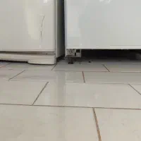 سالم در حد نو