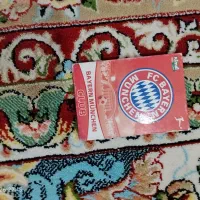 کیمدی|اسباببازی|گنبد کاووس, |دیوار