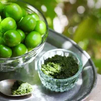 دلال سبز شمال ،رب آلوچه