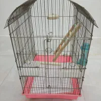 قفس بزرگ