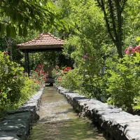 باغ جنگلی در منطقه خوش آب و هوا دولت آباد