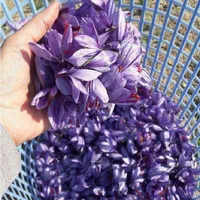 انواع زعفران تولید به مصرف عمده(کیلویی،بسته بندی)|خوردنی و آشامیدنی|شیراز, نصر|دیوار