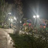 همخونه خانوم