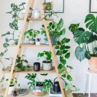 انجام تمام امور مرتب کردن