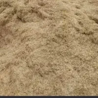 کاه گندم جهت فروش