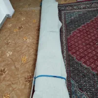 موکت رنگ فیلی نو|موکت|سقز, |دیوار