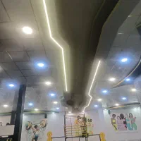 برقکار حرفه ای|خدمات پیشه و مهارت|شیراز, پارک آزادی|دیوار