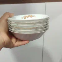 چینی زرین گل پاییزی|ظروف سرو و پذیرایی|اشتهارد, |دیوار