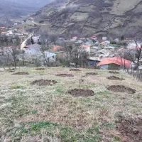 فروش زمین|فروش زمین و ملک کلنگی|فریم, |دیوار