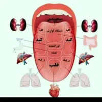طب سنتی و زبان شناسی و کار در منزل