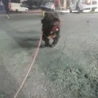 سگ گمشده