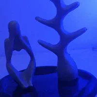 ست متفکر سینی دفرمه و استند شاخه جا جواهری|صنایع دستی و سایر لوازم تزئینی|مشهد, ایثارگران|دیوار