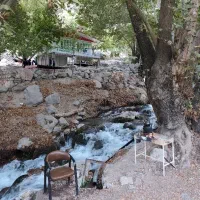 اجاره ویلا باغ در بهترین لوکیشن شیوند|اجارهٔ کوتاه‌مدت ویلا و باغ|دزپارت, |دیوار