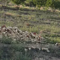 زمین کشاورزی در روستای جنت آباد باکاربری باغ|فروش زمین و ملک کلنگی|قنوات, |دیوار