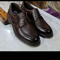 مردانه چرم طبیعی|کیف، کفش، کمربند|مراغه, |دیوار