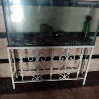 آکواریوم سالم و تمیز همه وسایل تکمیل