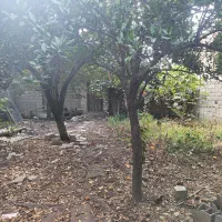 زمین مسکونی دوبر|فروش زمین و ملک کلنگی|امیرکلا, |دیوار