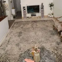 فرش12متری پتینه