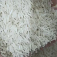 برنج فجر ایرانی ۲۵۰