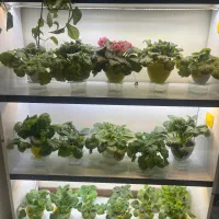 کلی لوازم منزل درحد نو|بوفه، ویترین، کنسول|تهران, خواجه نصیر طوسی|دیوار