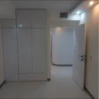 مجتمع-میخک