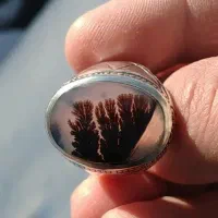 انگشتر شجر رگه دار اصل قاعنات معدنی تمام دست