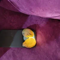 سنگ قیمتی