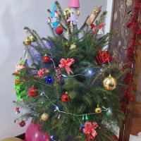 درخت کریسمس