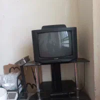 تلوزیون