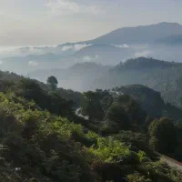 فروش یامعاوضه