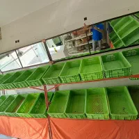 تعدادی قفسه میوه فروشی ب فروش میرسد|فروشگاه و مغازه|فولادشهر, مسکن مهر فولادشهر|دیوار