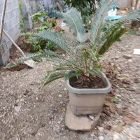 یه سری لوازم منزل به فروش می رسد باقیمت مناسب|حراج|طاهرگوراب, |دیوار