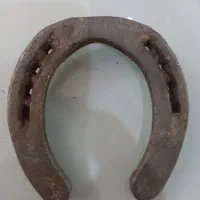 نعل کارکرده تضمینی