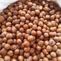 فندق امساله مرکز تولید