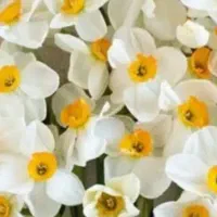 استخدام خانم یا آقا با حقوق 30تومن ماهیانه