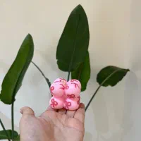 شمع ژورنالی|صنایع دستی و سایر لوازم تزئینی|رشت, منظریه|دیوار