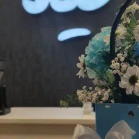 استخدام
