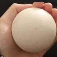 سلام سنگ الماس اسیاب واقعی نه از این قلابیها