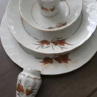 سرویس ۱۲نفره چینی اسپیدار