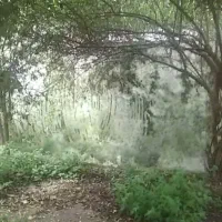 فروش یا معاوضه ملک در فرج آباد چالوس|فروش خانه و ویلا|چالوس, |دیوار