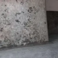 یخچال فریزر صندوقی