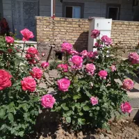 خانه ویلایی در شهرک آفتاب (روستای قلات قزوین)