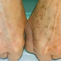 سلام روغن های خوراکی ورق بزنید|آرایشی، بهداشتی، درمانی|محمدیه-قزوین, |دیوار