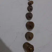 سنگ ترازو برنجی