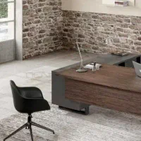 منشی خانم و دستیار اداری