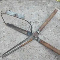 قیچی باغبانی و چایی چینی