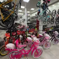 دوچرخه دخترانه راپیدو(نقد واقساط)آراددوچرخ