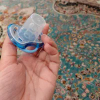 پستونک اونت و بیبی لند